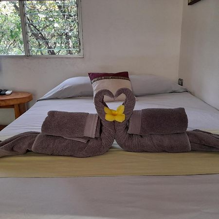 Hotel El Colibri Rojo - Cabinas - Le Colibri Rouge Cahuita Quarto foto